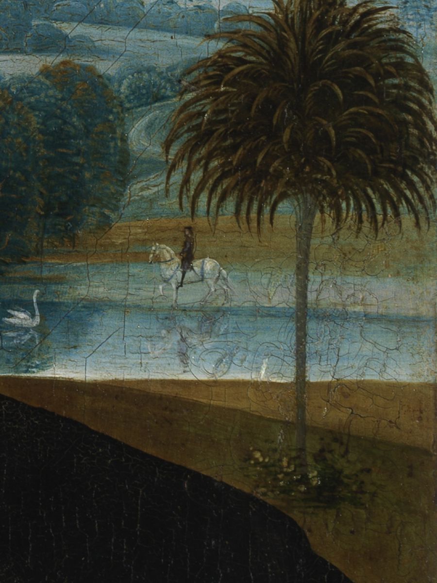 Een eenzame palmboom in een verder minder exotisch landschap.