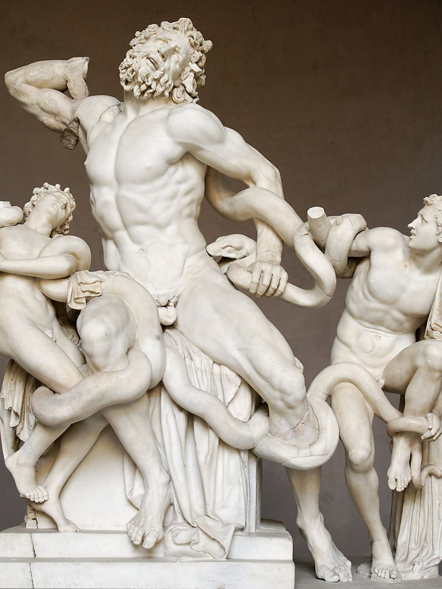 Antieke spieren bij de Laocoöngroep