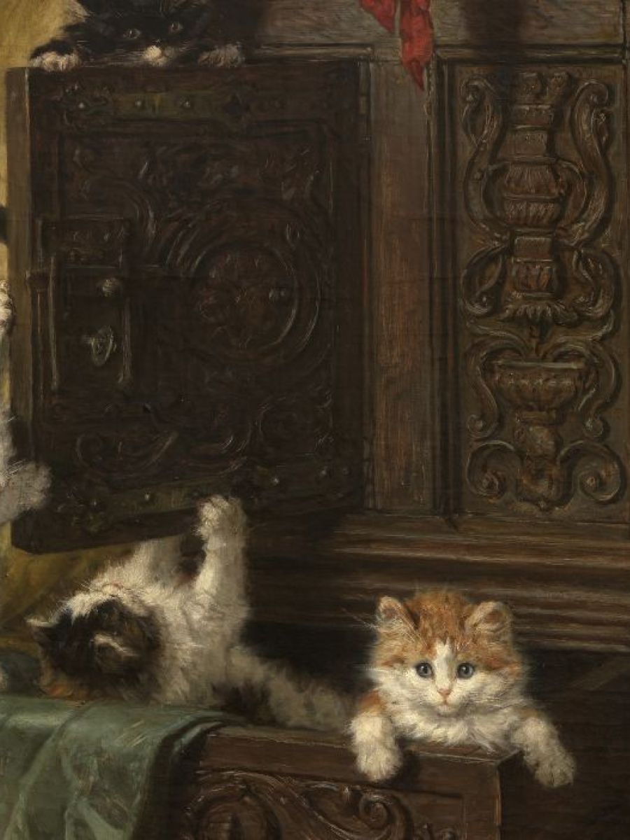 Een stilleven met levendige katten vol details